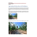 Agricultural policy key to EU inflation | Di Domenico, Christine (19..-....)